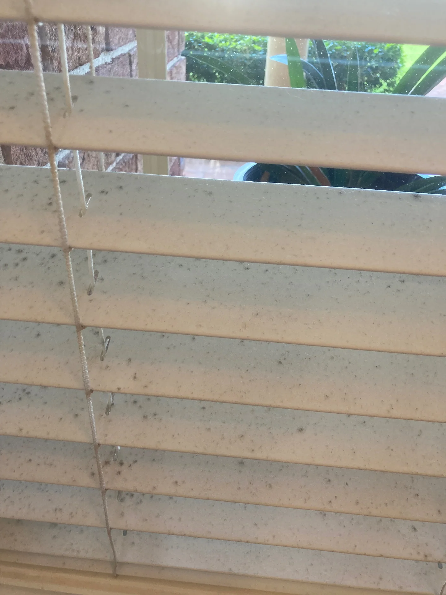 Dusty window blinds coated in grime before a Beheli Group blind cleaning service in St George