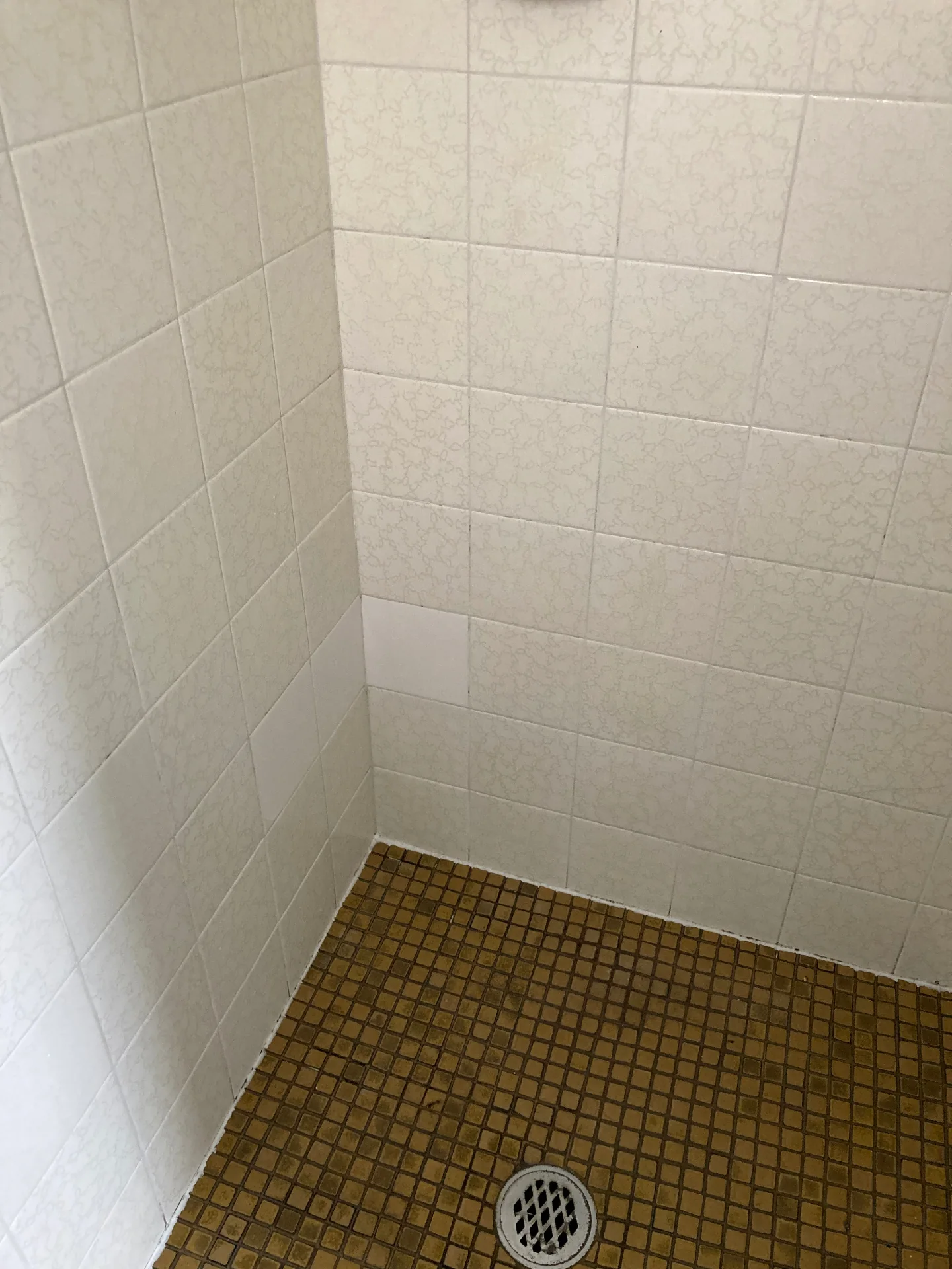 Same shower recess with clear glass and restored grout after professional house cleaning by Beheli Group, Sutherland Shire