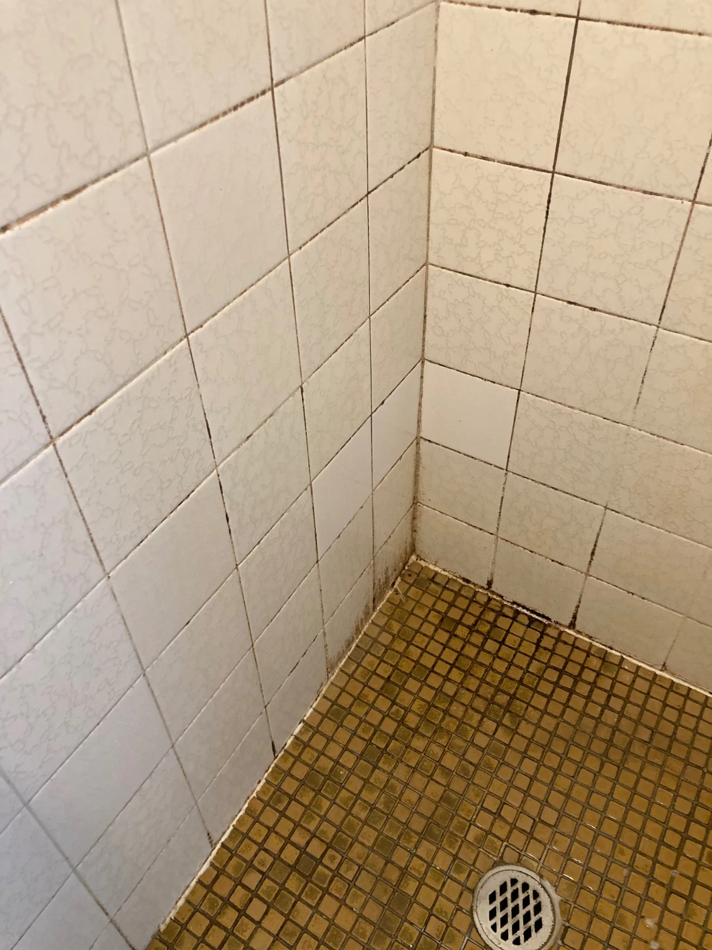 Shower recess with soap scum and stained grout before a Beheli Group deep clean in the Sutherland Shire